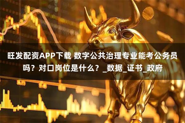 旺发配资APP下载 数字公共治理专业能考公务员吗？对口岗位是什么？_数据_证书_政府
