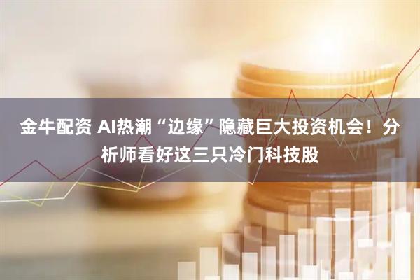 金牛配资 AI热潮“边缘”隐藏巨大投资机会！分析师看好这三只冷门科技股