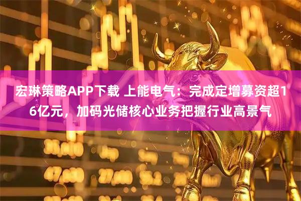 宏琳策略APP下载 上能电气：完成定增募资超16亿元，加码光储核心业务把握行业高景气