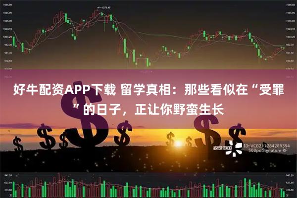 好牛配资APP下载 留学真相：那些看似在“受罪”的日子，正让你野蛮生长