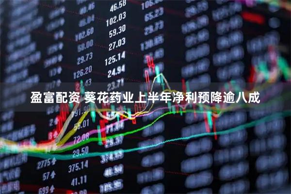 盈富配资 葵花药业上半年净利预降逾八成