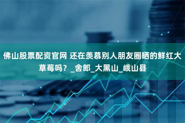 佛山股票配资官网 还在羡慕别人朋友圈晒的鲜红大草莓吗？_舍郎_大黑山_峨山县